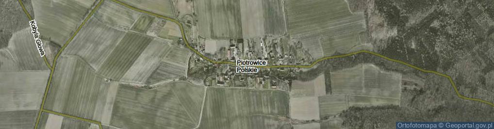 Zdjęcie satelitarne Piotrowice Polskie ul.